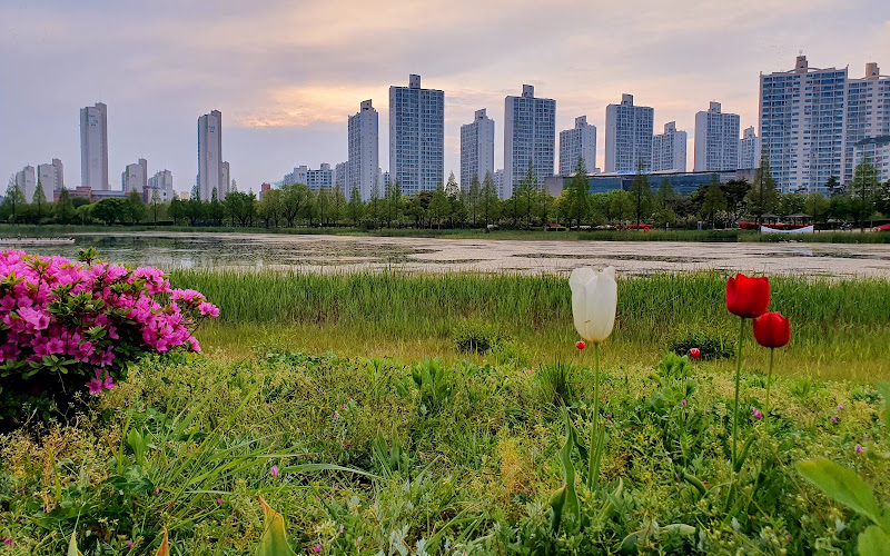 안산호수공원