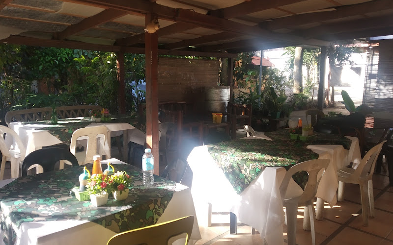 Backyard project studio and cafe