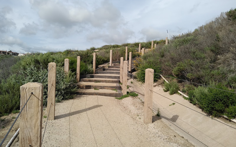 Sea Summit Trail - North El Camino Real Trailhead