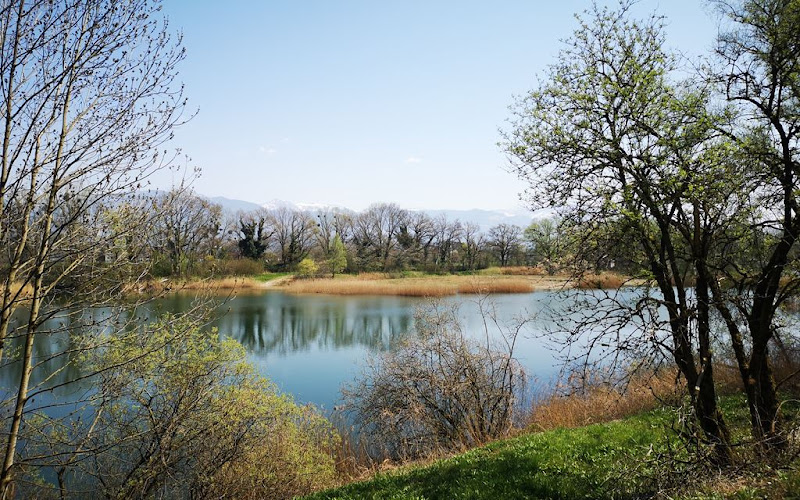 Naturschutzgebiet Wichenstein