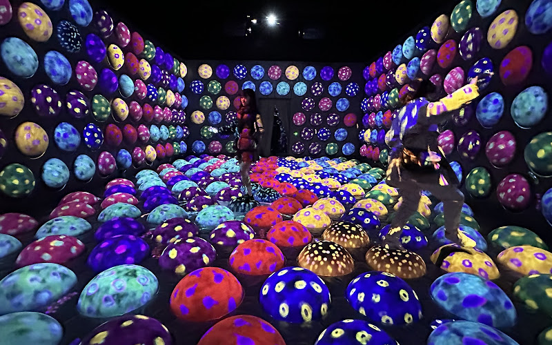 チームラボフォレスト 福岡 - SBI証券