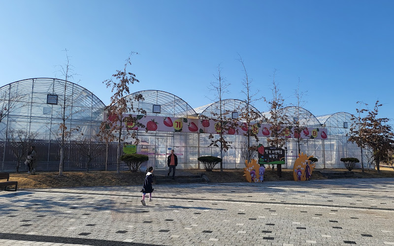 딸기향 농촌테마공원