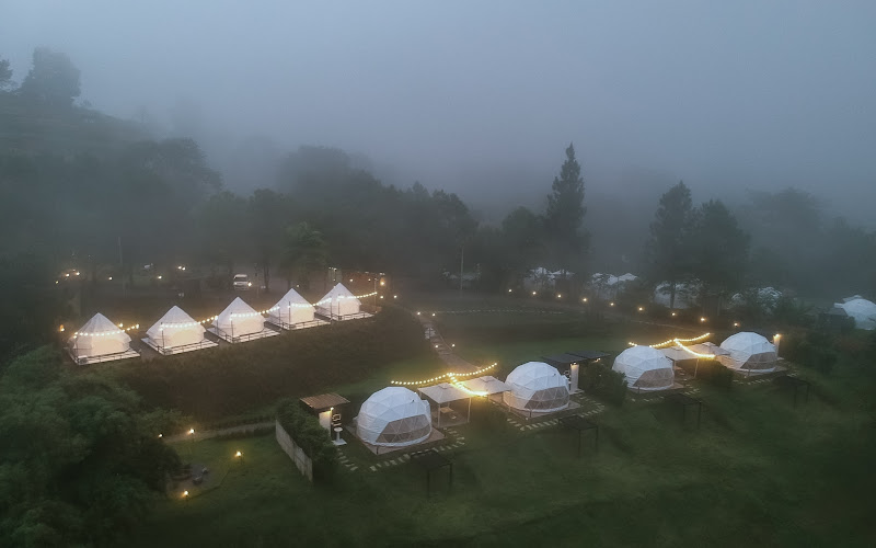 ザ・ハグ ガーデン