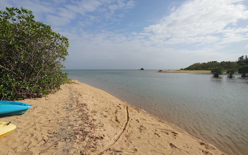 야망구 카누 카약