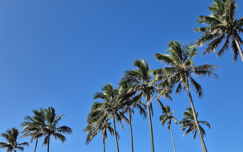 Nielson Beach