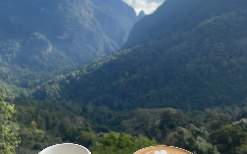 Pha Hee Forrest coffee