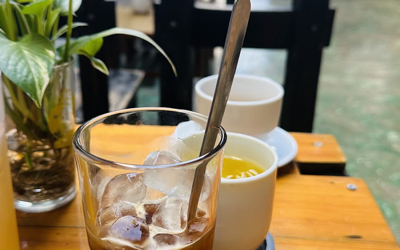 Gỗ Mục Không Gaming