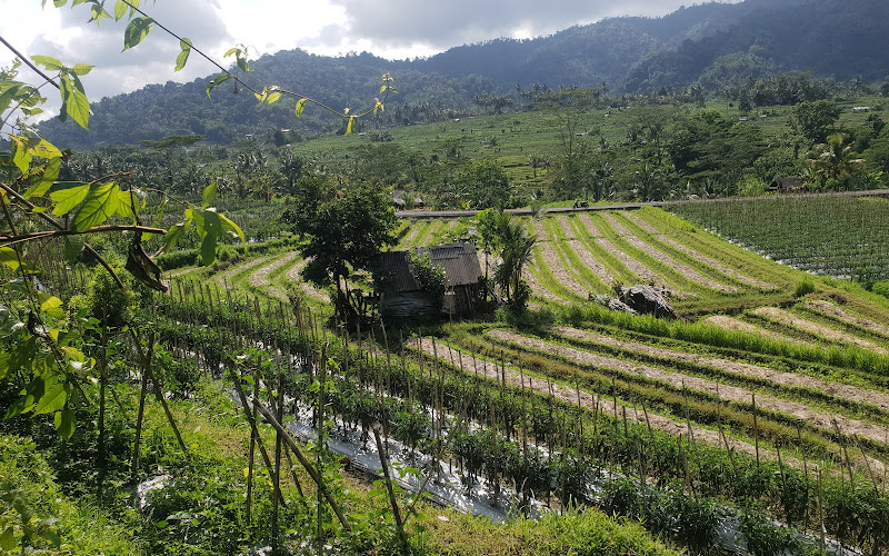 Spot for mount agung