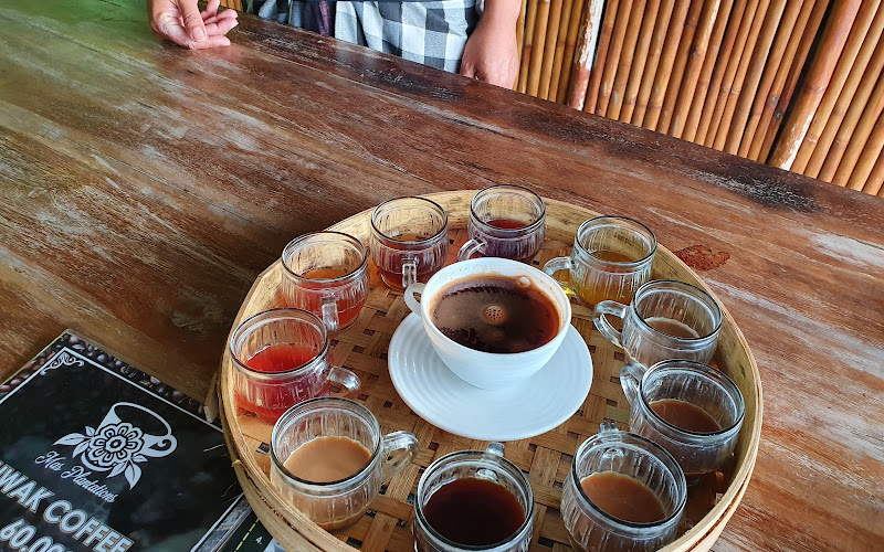 Mas Plantations and luwak coffee