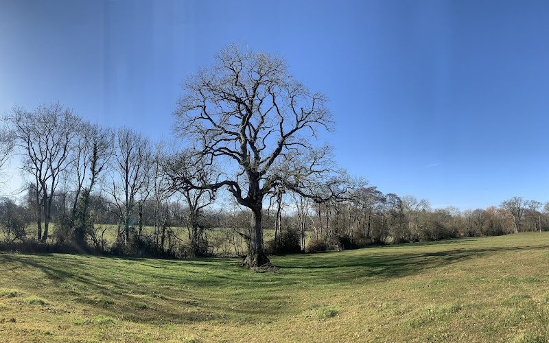 Chard Reservoir - Oaklands Avenue Car Park