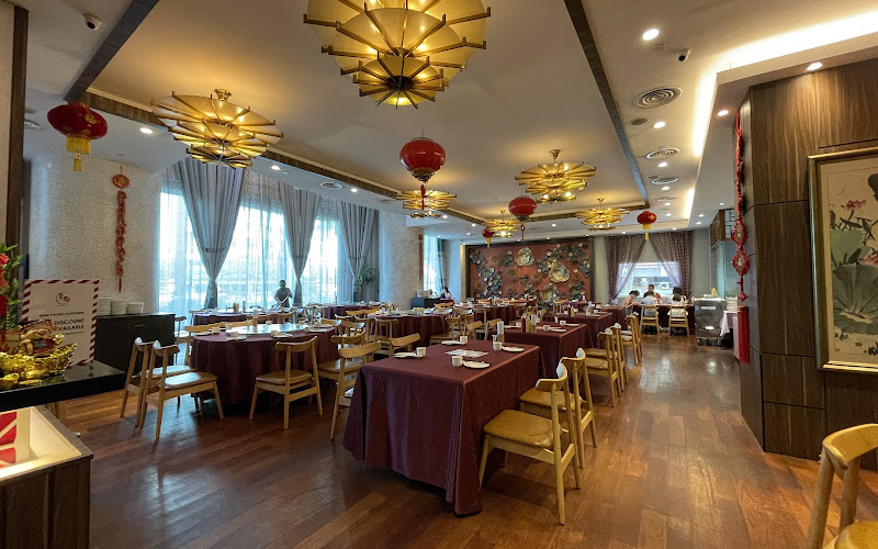 Dynasty Chinese Restaurant