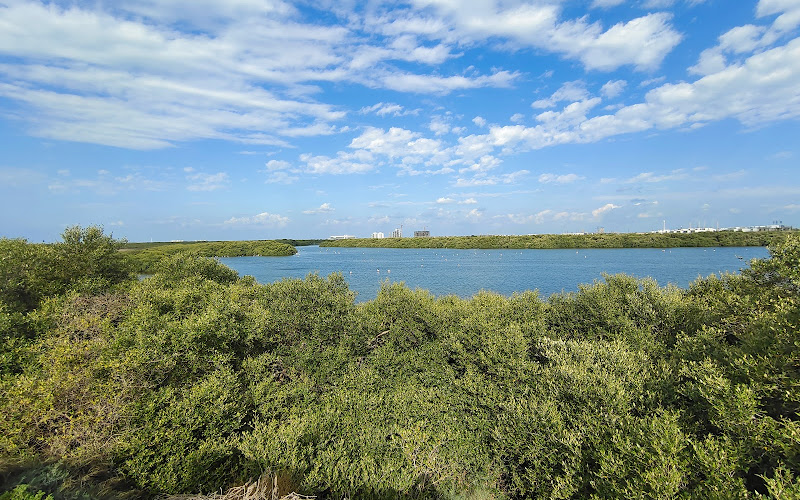Al Zorah Natural Reserve