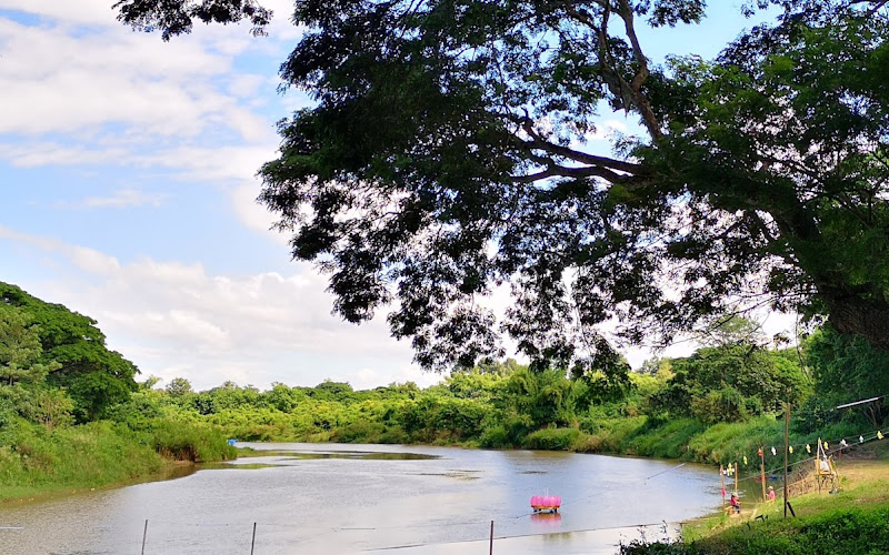 The Green House & Yom River Viewpoint (Chetawan Arboretum)