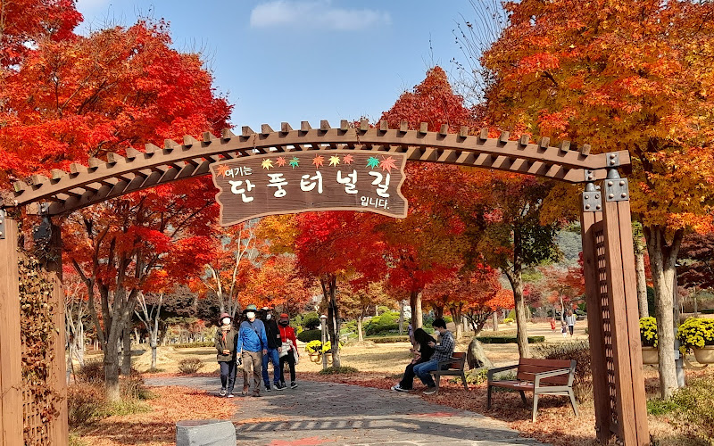 내장산 단풍생태공원