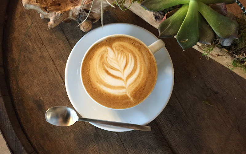 Noble Coyote Coffee Roasters