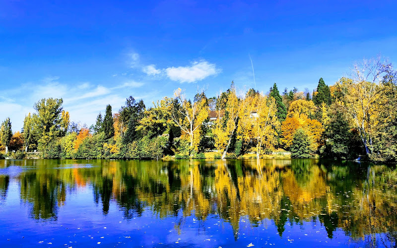 ゾンマーホーフェンパーク・ジンデルフィンゲン