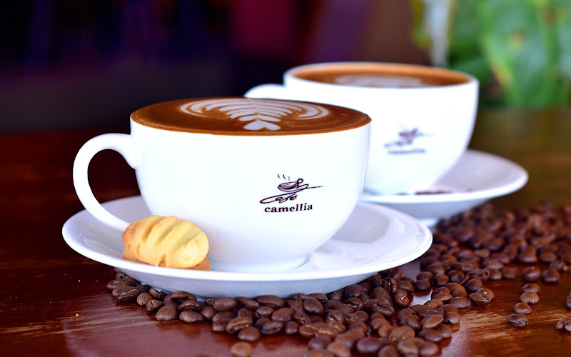 Cafe Camellia Peace Plaza