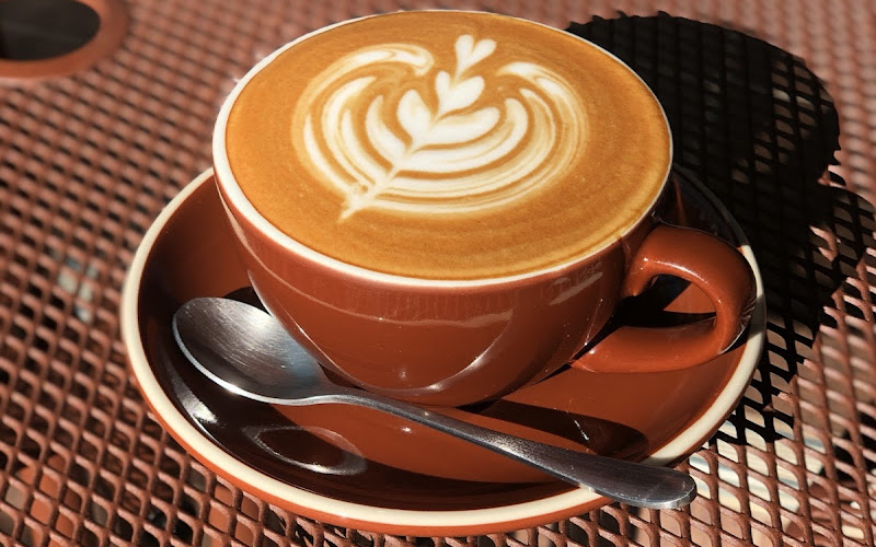 Vector Coffee Roaster I Grass House