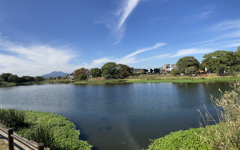 Suizenji Ezuko Park (Kami-ezu District)