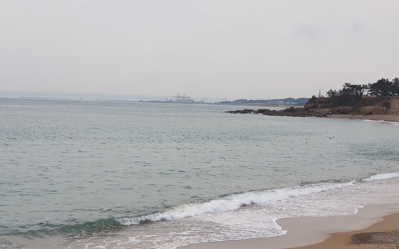 동호횟집