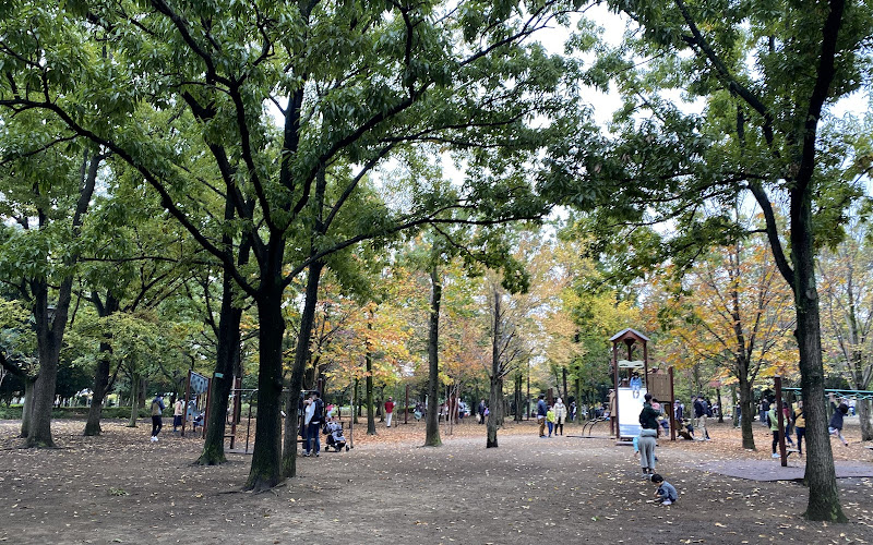 Adventure Zone South