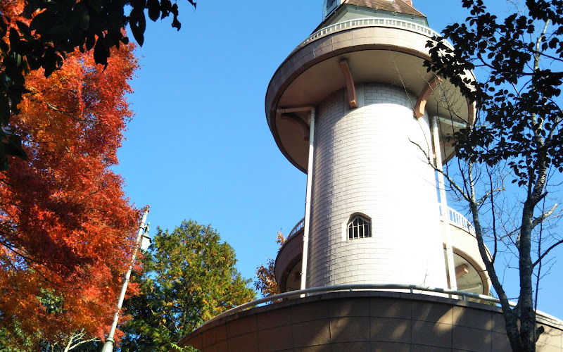 最上山公園 もみじ山