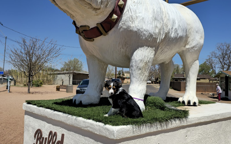 Bulldog Statue