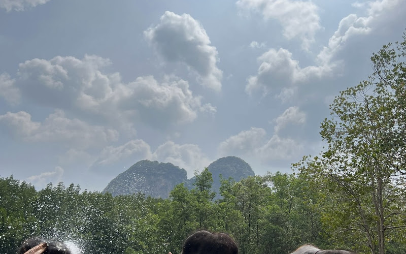 Krabi Elephant Shelter