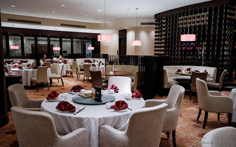Xin Cuisine Chinese Restaurant