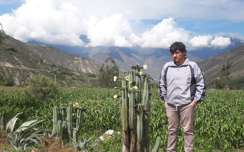 Mirador del Cerro San Juan