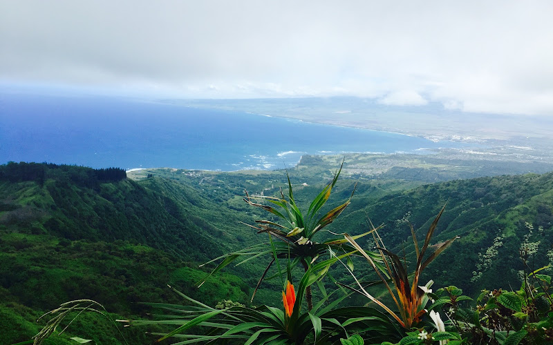 Waiehu Heights Park