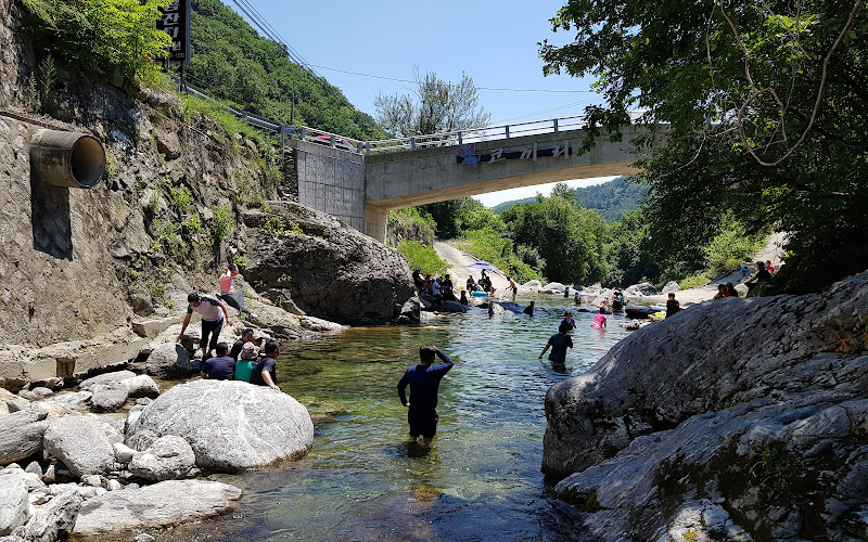 버드나무유원지