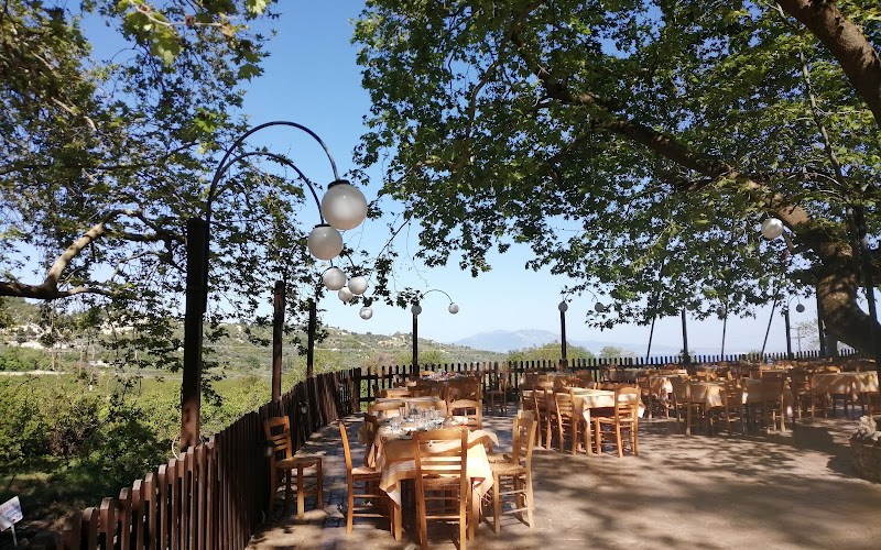 τα 30 Πλατάνια