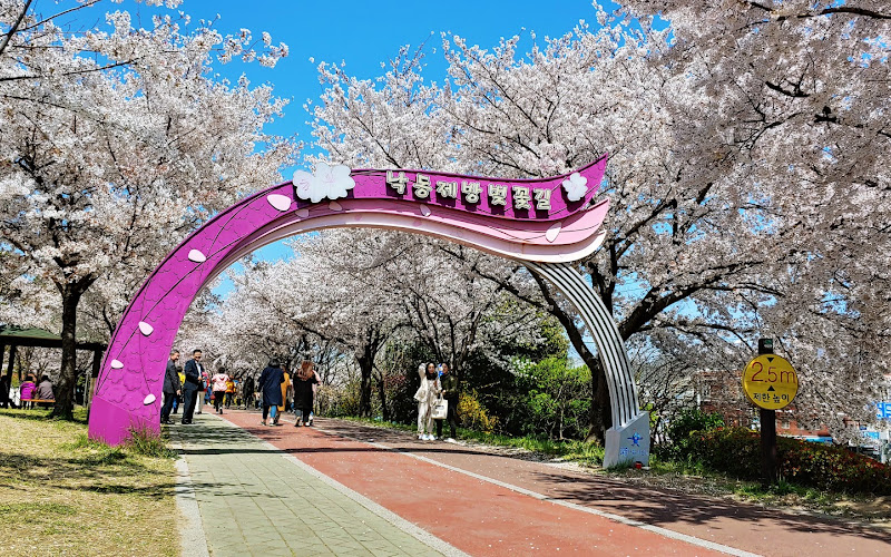 三樂生態公園