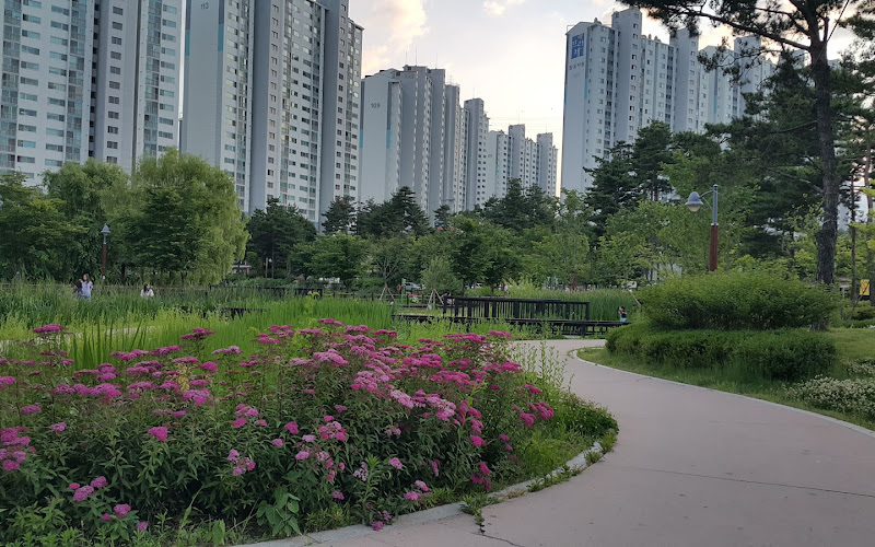 밤밭청개구리공원