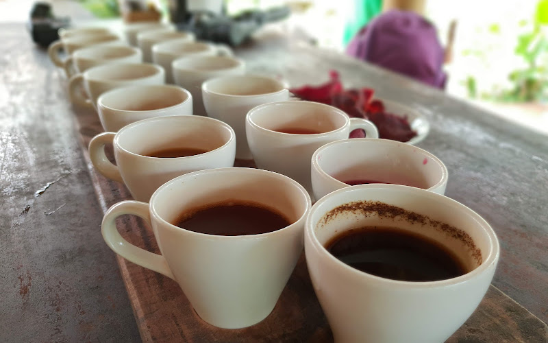 Uma Pakel Agro Tourism & swing