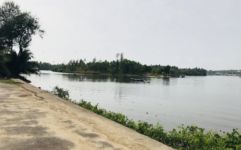 タニバウィ・ビーチ