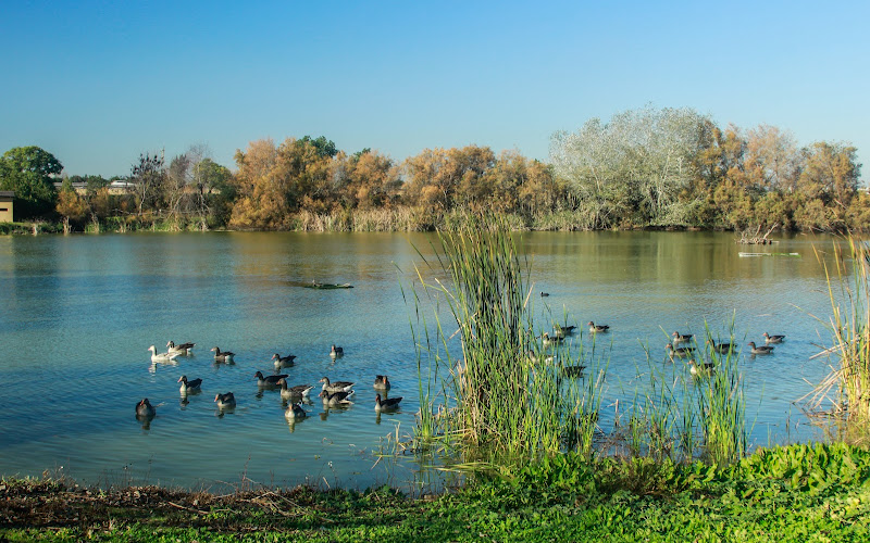Laguna de Fuente del Rey