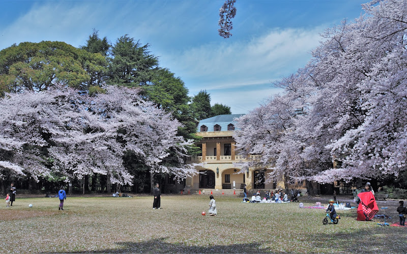 駒場公園
