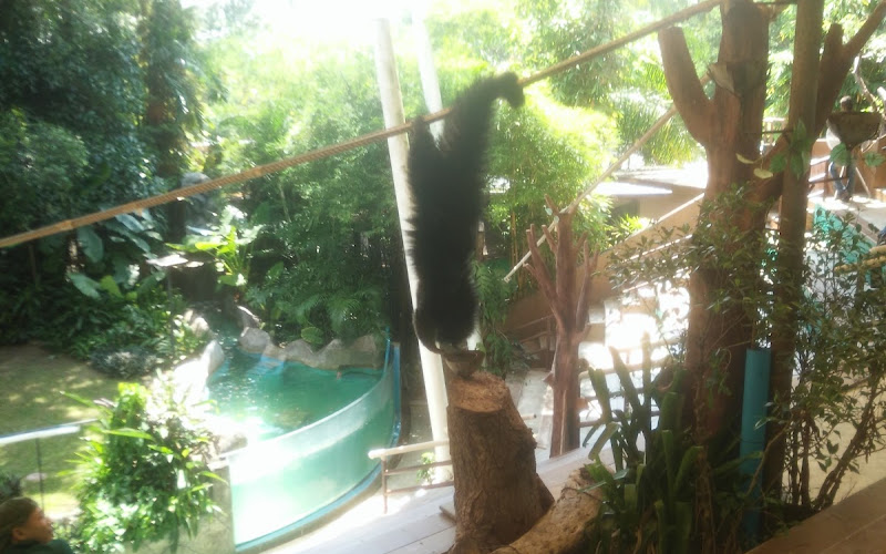 ส่วนจัดแสดงช้าง