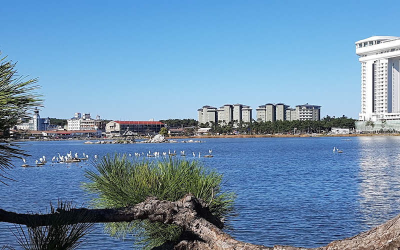 江陵鏡浦湖