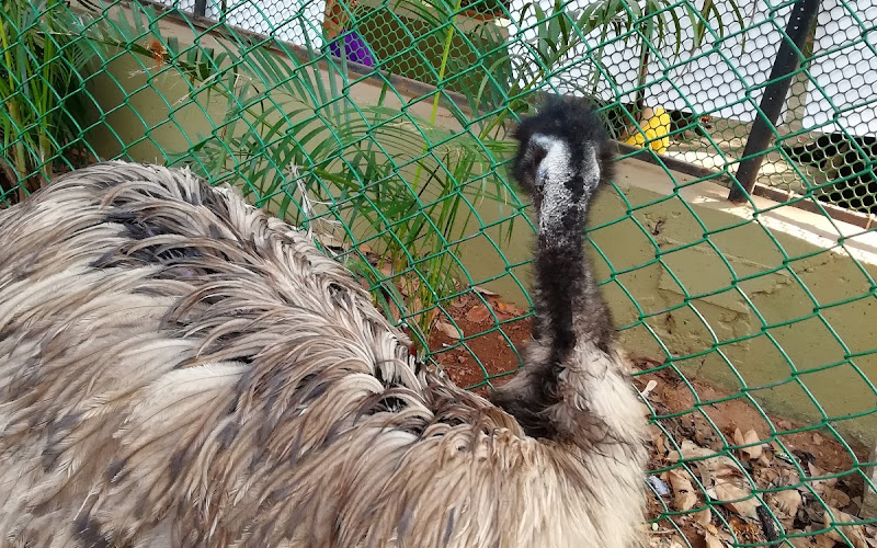 Emu watch center