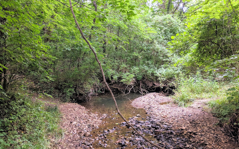 Strawberry Creek Nature Area