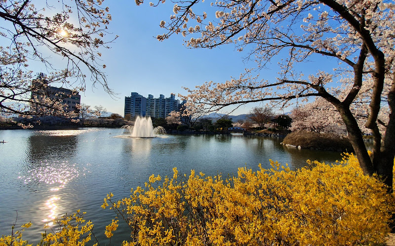 연화지