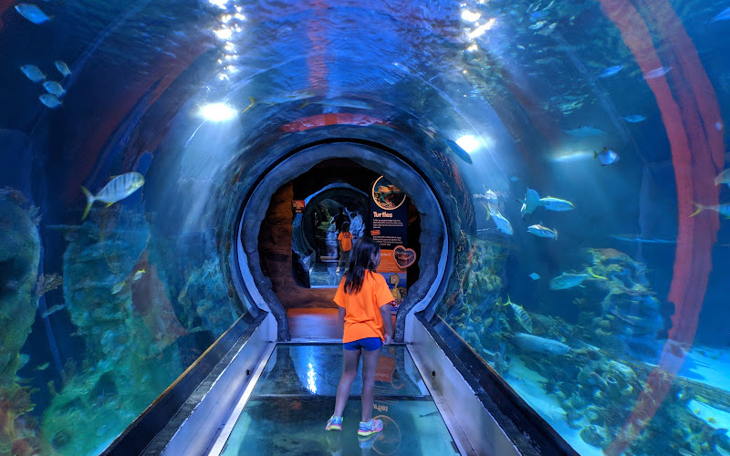 SEA LIFE Arizona Aquarium
