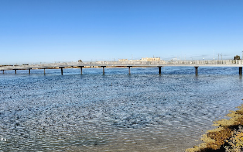 Sendero Cádiz-San Fernando (Término San Fernando)