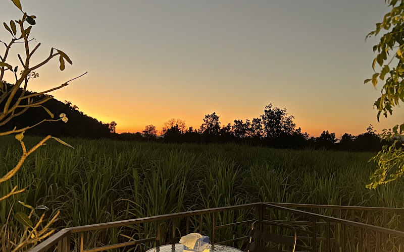 เรือนไม้หอม