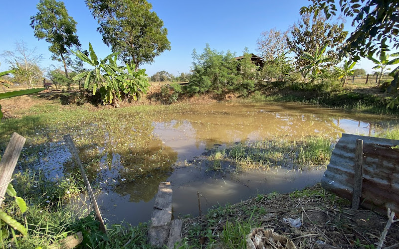 タワンナーマーケット