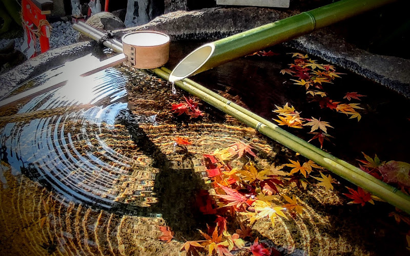 水琴窟『東国一』