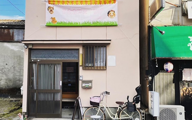 うさカフェりび